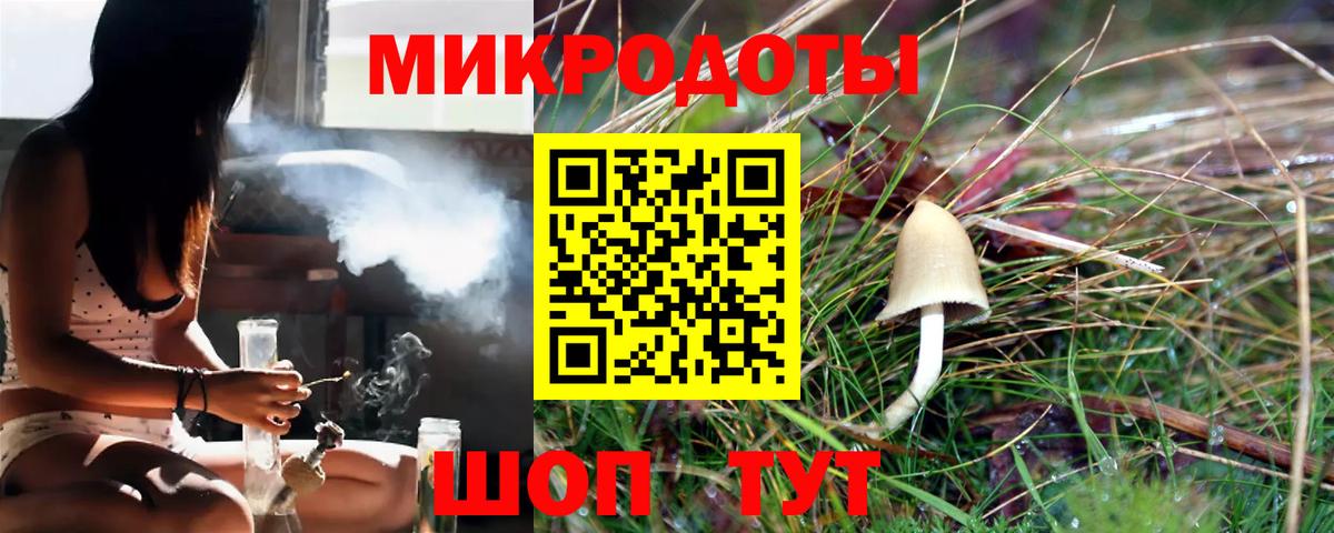 Псилоцибиновые грибы ЛСД  Вход с VPN  Псилоцибиновые грибы MAGIC MUSHROOMS  Пенза 