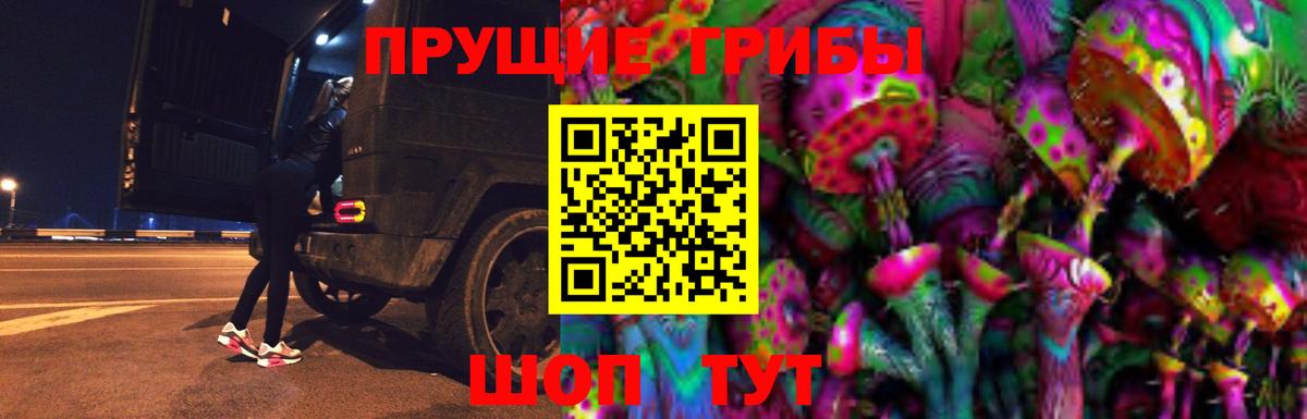 Псилоцибиновые грибы Cubensis Пенза